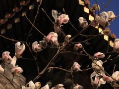 -东华门大街小区