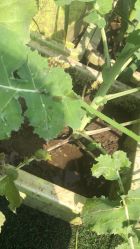 -可可天空农场(中大店)