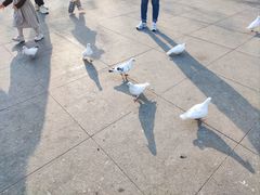 -海河外滩公园