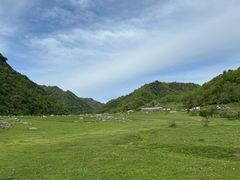 -狮子沟牧场