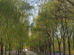 -廊坊市自然公园
