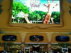 -珠海横琴长隆《卡卡虎奇遇记》