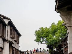 景点-乌镇西栅景区