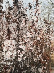 -大望京儿童游乐场