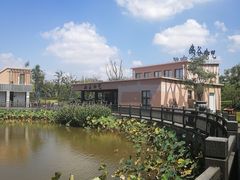 -上海长兴岛郊野公园