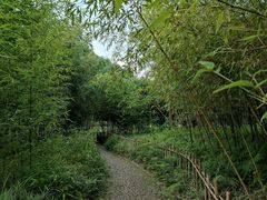 -新虹桥中心花园