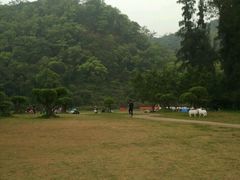 -南宁良凤江国家森林公园