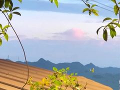 -南山植物园