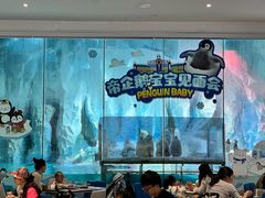 -帝企鹅自助餐厅•儿童岛•真企鹅(长隆企鹅酒店)