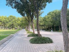 -新江湾城公园