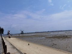 -北海金海湾红树林生态旅游区