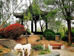-东昌湖风景区