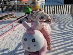 -绿野森林乐园冰雪季
