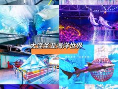 -大连圣亚海洋世界
