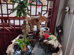 -老妈宫粽球