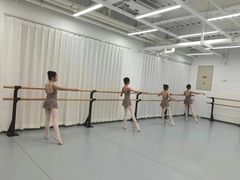 -中央芭蕾舞团·中芭艺蕾(酒仙桥明星校区)