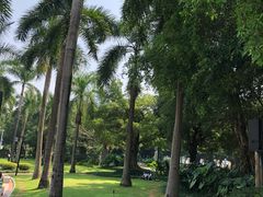 -南宁南湖公园
