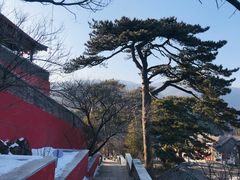 -妙峰山风景名胜区