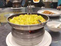 -丁老爷子苏香圆
