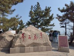 -养马岛旅游度假区