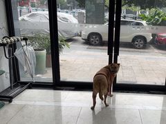 -瑞鹏瑞爱宠物医院·全科·猫科·血液透析中心(龙头寺店)