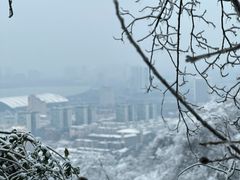 -紫金山山顶公园