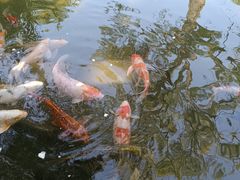 -三里河公园
