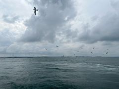 -那香海钻石沙滩浴场