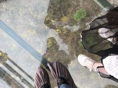-铜川市金锁关石林