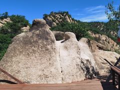 -大岭沟猕猴桃谷风景区