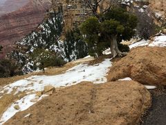 -科罗拉多大峡谷