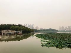 -月湖风景区