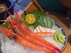 -沼津港日本料理·寿喜烧·烧鸟(新世界大丸百货店)