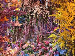 -正佳雨林生态植物园