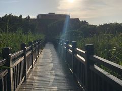 -芒洲湿地公园