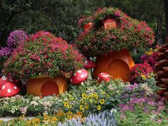 -广州市白云山风景名胜区