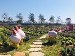 -天适樱花悠乐园