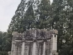 -音乐台