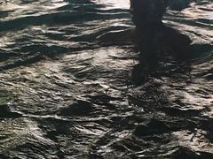 -御池园(顾村公园店)