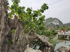 -星湖旅游景区七星岩