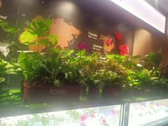 -西堤牛排(龙德广场店)