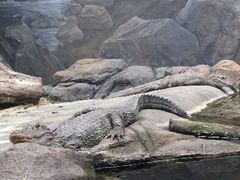 android_upload_pic-河川生态园