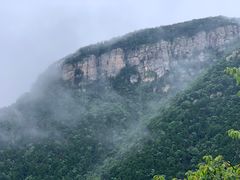 -庐山风景区花径公园