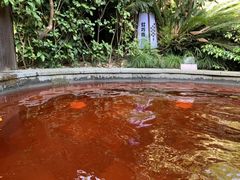 -杭州第一世界大酒店·云曼温泉