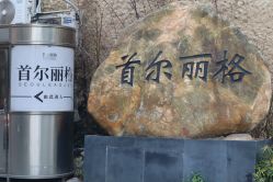 -上海首尔丽格医疗美容医院