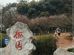 -重庆彩云湖湿地公园