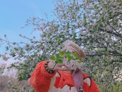 -洛阳市隋唐城遗址植物园