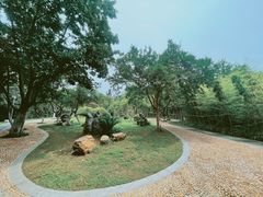 -菊花台公园
