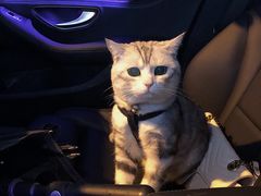 -杭州中升之星奔驰4S店(滨江店)