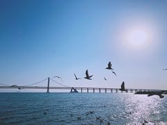 -星海广场